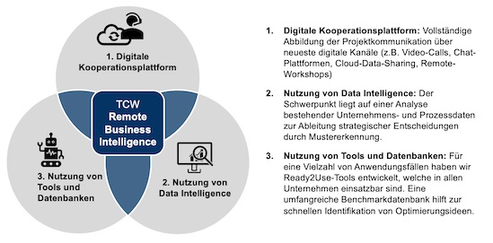 Beratungsansatz Remote Business Intelligence