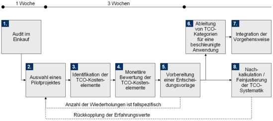 Vorgehensweise der TCW-Methodik zur TCO-Analyse