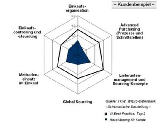 Exemplarisches Ergebnis des Best-Practice-Checks für den Einkauf