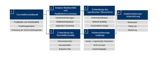 Projektstruktur für die Geschäftsmodellentwicklung