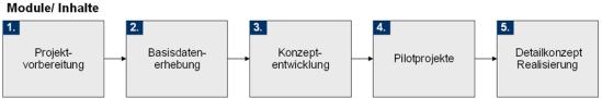 Vorgehensweise zur Einführung des ECR-Konzepts