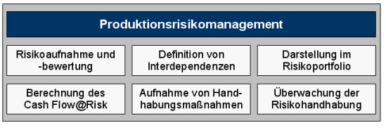 Produktionsrisikomanagement, Risikomanagement