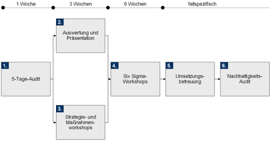 Vorgehensweise zur Einführung von Design for Six Sigma