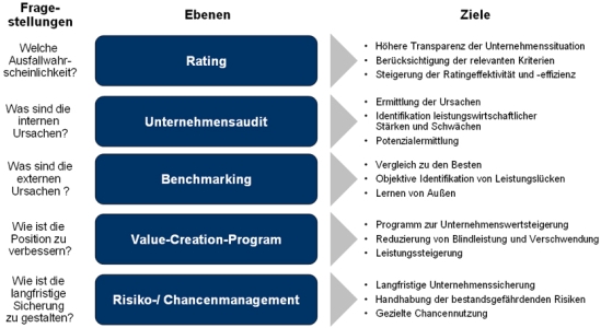 Ebenen und Ziele des Risikomanagement-.Prozesses