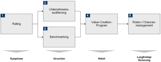 Vorgehensweise des Risikomanagements