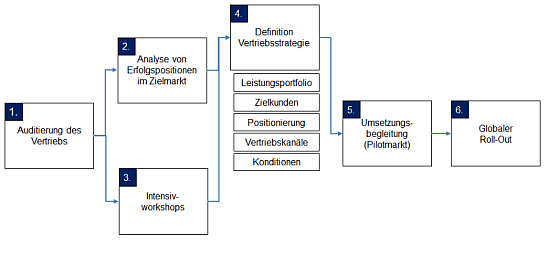 Projektvorgehensweise zur Vertriebsstrategieentwicklung